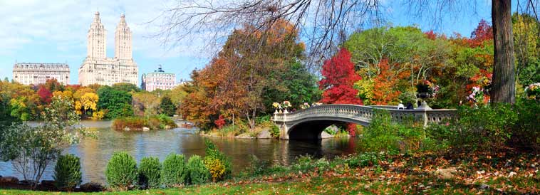 Photo of Central Park in New York City