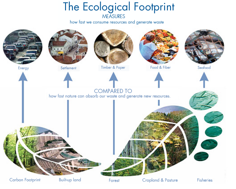 Ecological Footprint Image