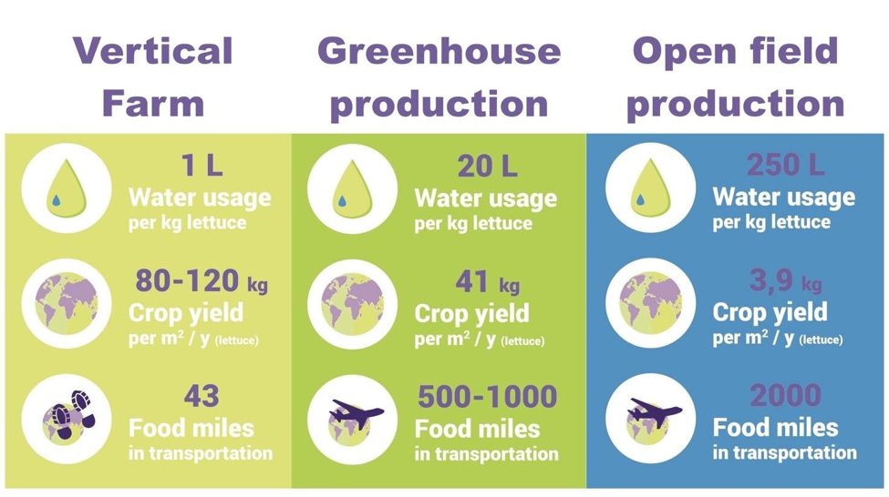 Charts with differences between a vertical farm, greenhouse production, and open field production
