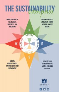 Graphic of the Sustainability Compass