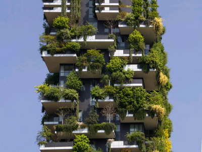 Tree-Covered Building