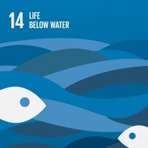 Life Below Water SDG14