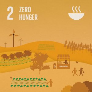 SDG2 Zero Hunger