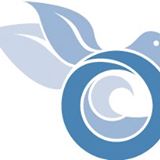 Society for Conservation Biologu logo