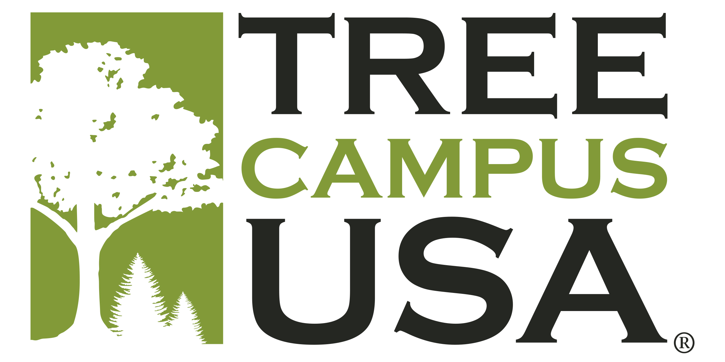 TreeCampus_USA logo