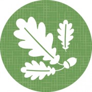Grounds Icon