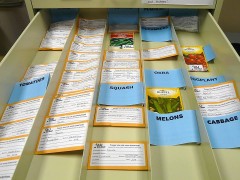 photo of A small sample of what the AU Seed Library has to offer.