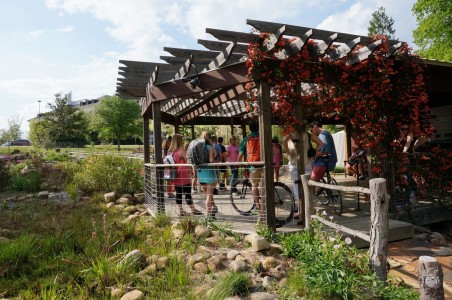 Photo of students touring the Arboretum.