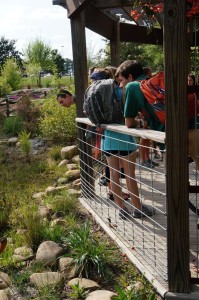 Photo of Students on a water tour at the bog garden in the Arboretum.