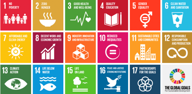 Graphic of the 17 UN Sustainable Development Goals