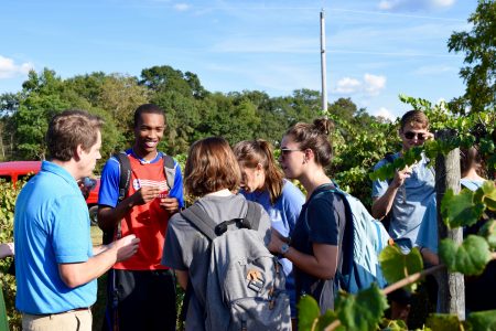 Students in "Introduction to Sustainability" course check out the muscadine vines.