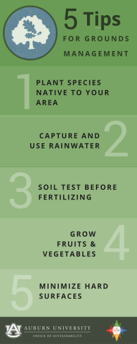 Graphic of 5 Tips for Grounds Management: 1. Plant species native to your area 2. Capture and use rainwater 3. Soil test before fertilizing 4. Grow fruits & veggies 5. Minimize hard surfaces