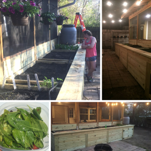 Photo collage of raised garden beds.