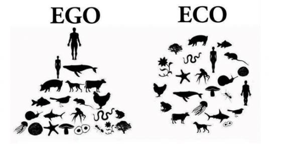 Systems thinking requires changing from an Egocentric to an Ecocentric worldview, reflecting Aldo Leopold’s Land Ethic, which he articulated in the 1940s: Changing the role of Homo sapiens “from conqueror of the land community to plain member and citizen of it.”