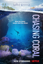 Chasing-Coral-Cover