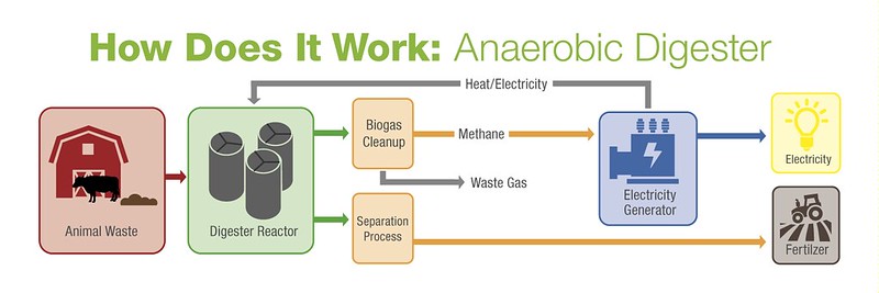 Diagram of how an anaerobic digester works.