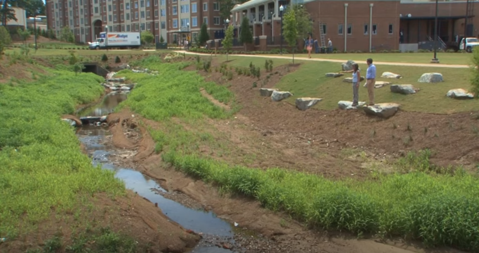Photo of the Parkerson Mill Creek restoration project on campus.