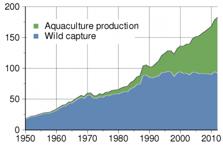 graph showing increased fish harvesting through aquaculture
