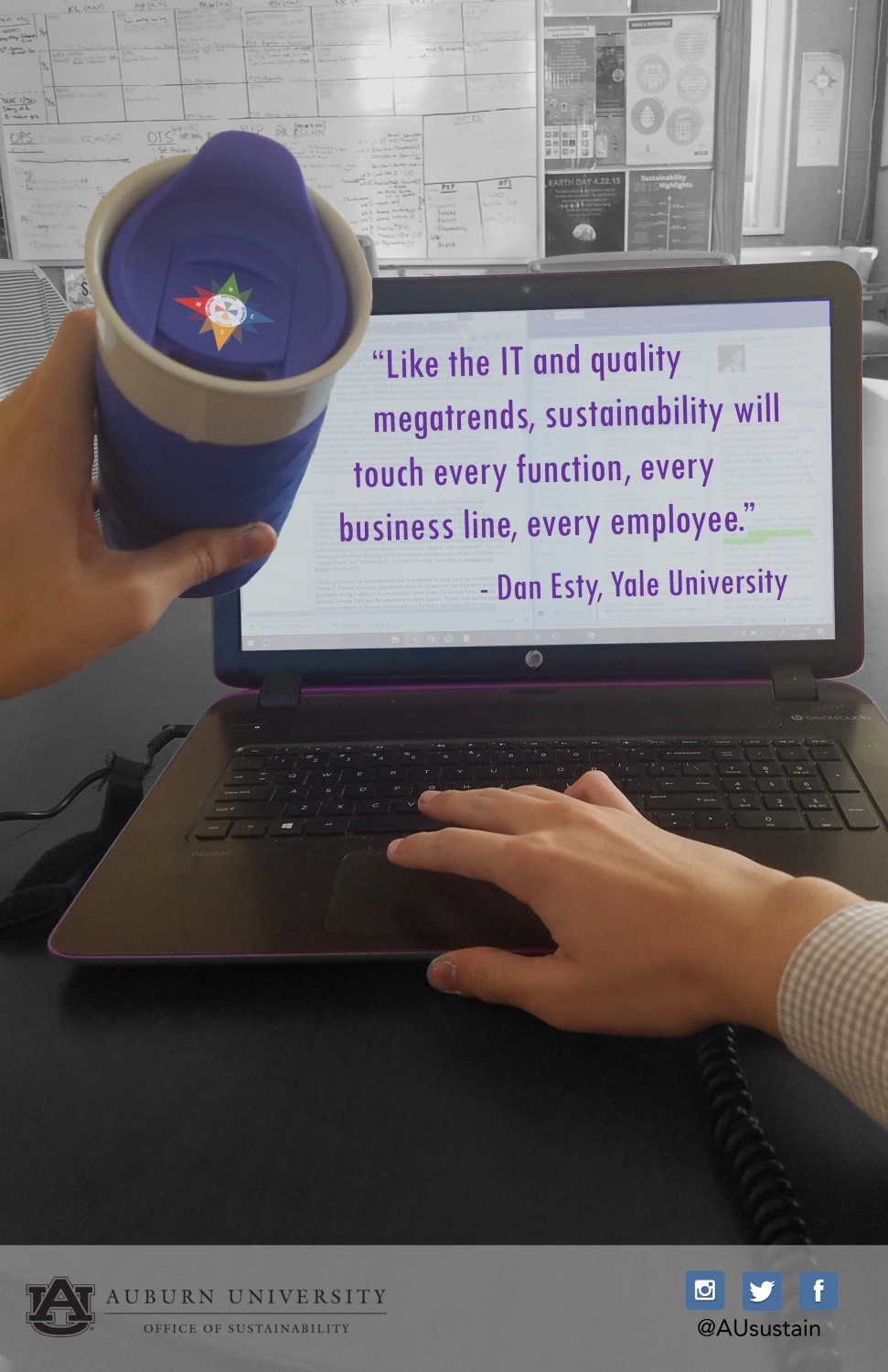 Graphic with the Don Esty quote: "Like the IT and quality megatrends, sustainability will touch every function, every business line, every employee."