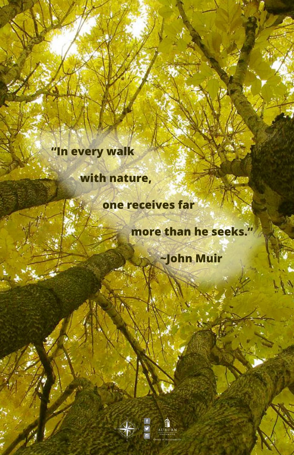 Graphic with John Muir quote: "In every walk with nature, one receives far more than he seeks."