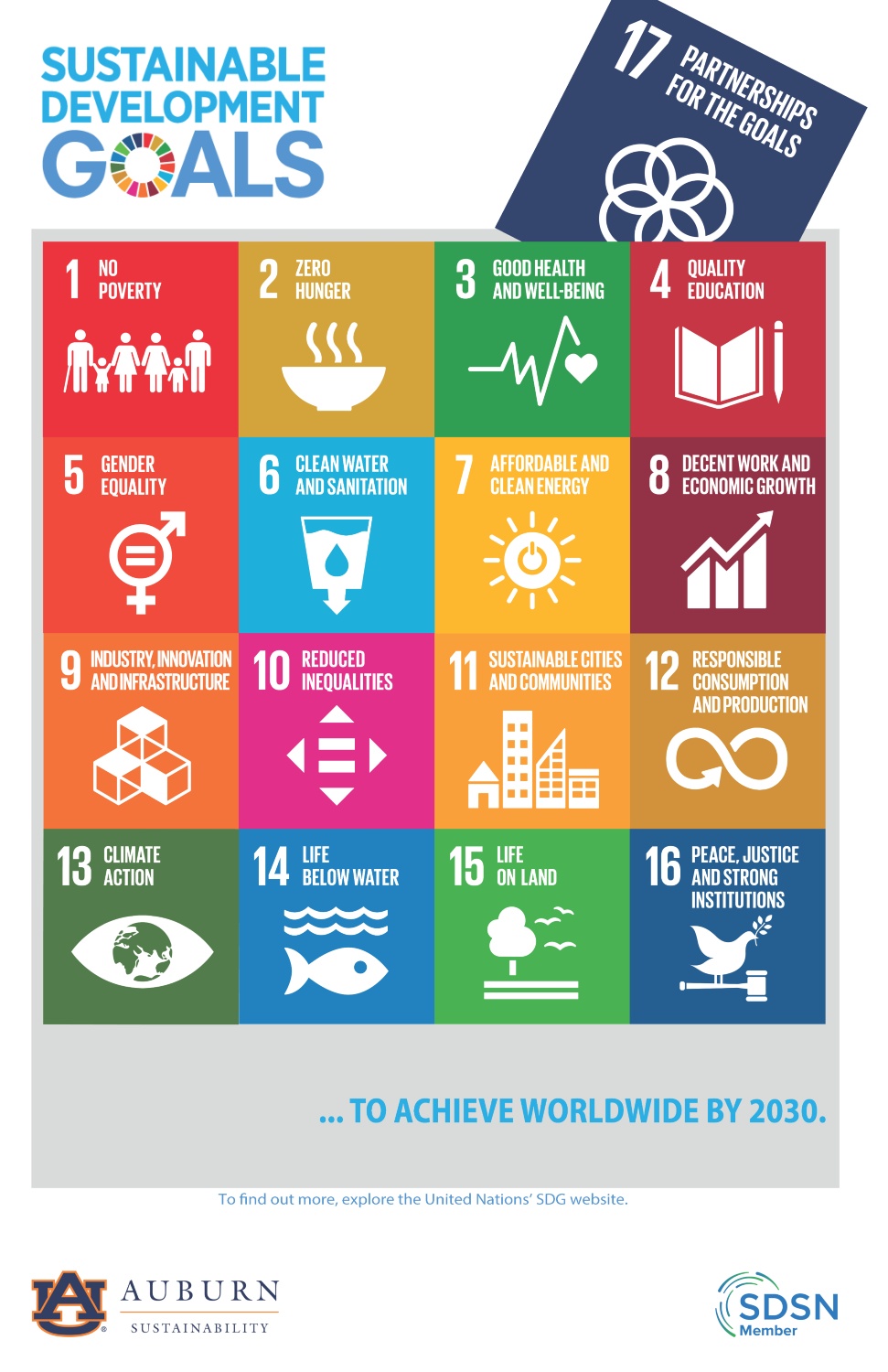 Graphic depicting the 17 Sustainable Development Goals
