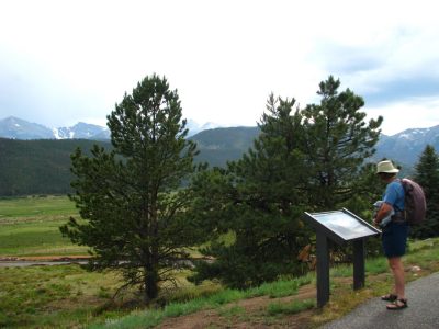 Visitor reading an interpretive sign along a trail.