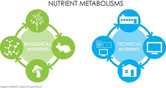 A diagram of nutrient metabolisms. Biological nutrient diagram painted in green on the left, technical nutrients in blue on the right.