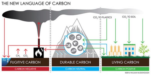 The New Language of carbon graph