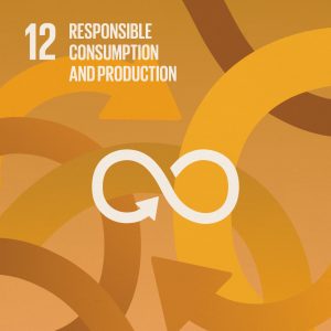 SDG12: Responsible Consumption and Production