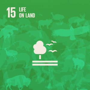 SDG15: Life on Land