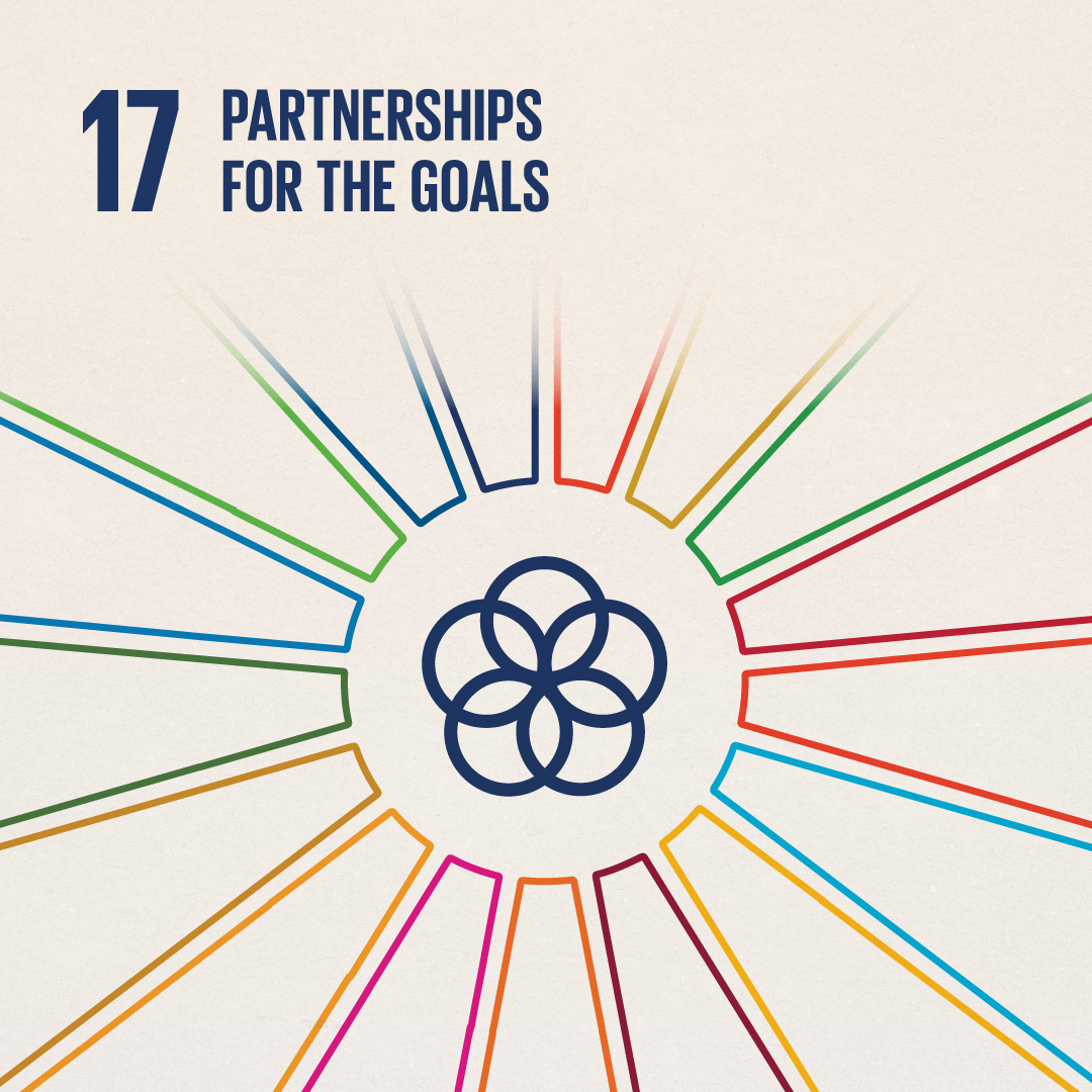 SDG 17: Partnerships for the Goals, example of poster by Lane Mullins