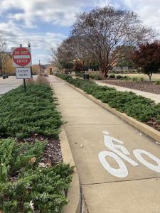 Photo of a bike path on Auburn’s campus