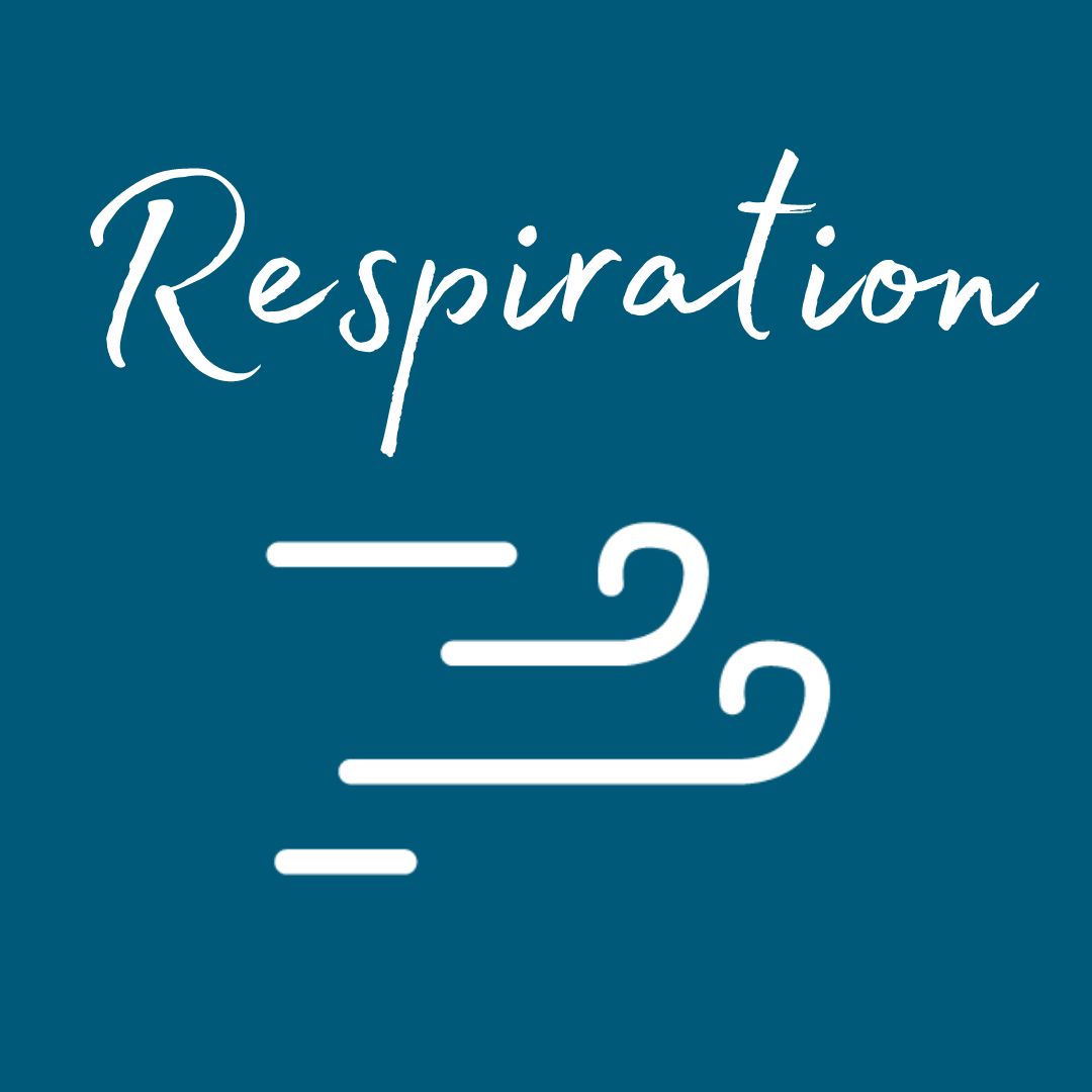 Respiration Logo with Word