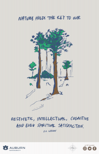 sketched landscape with shrubs and tall pine trees with the text "nature holds the key to our aesthetic, intellectual, cognitive, and even spiritual satisfaction"