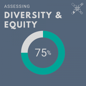 Image showing Auburn's score for Assessing Diversity & Equity