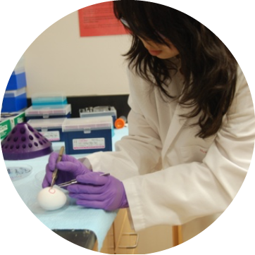 Image of a researcher in a lab