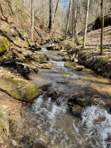 Photography of stream in the Appalachian Mountains.