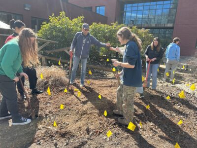 Four people planting trees.
