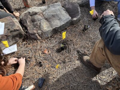 Yellow flags placed in the planting space.