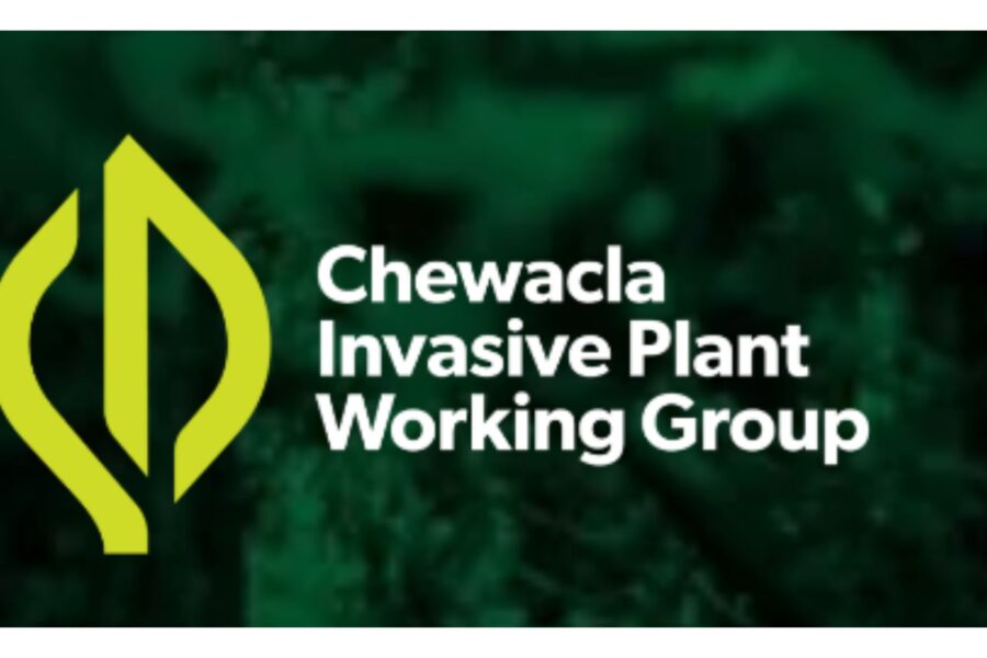 Logo: Chewacla Invasive Plant Working Group