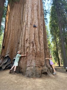 two people standing around a giant tree hugging it