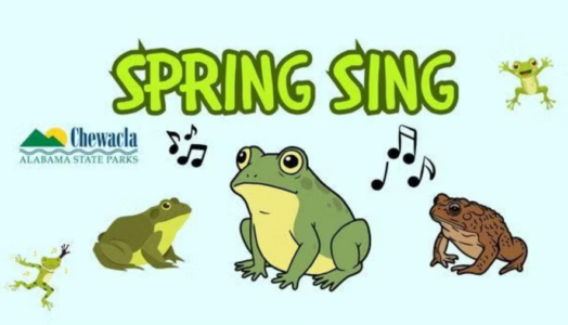 Chewacla Spring Sing graphic with cartoon frogs and music notes