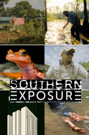 a graphic of the six cover images for southern exposure films