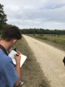 Man sketching bison in a field journal