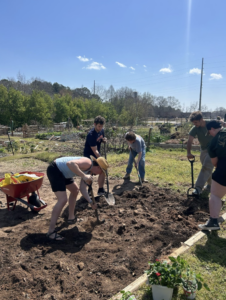 5 auburn students with shovels planting seeds at a community garden plot