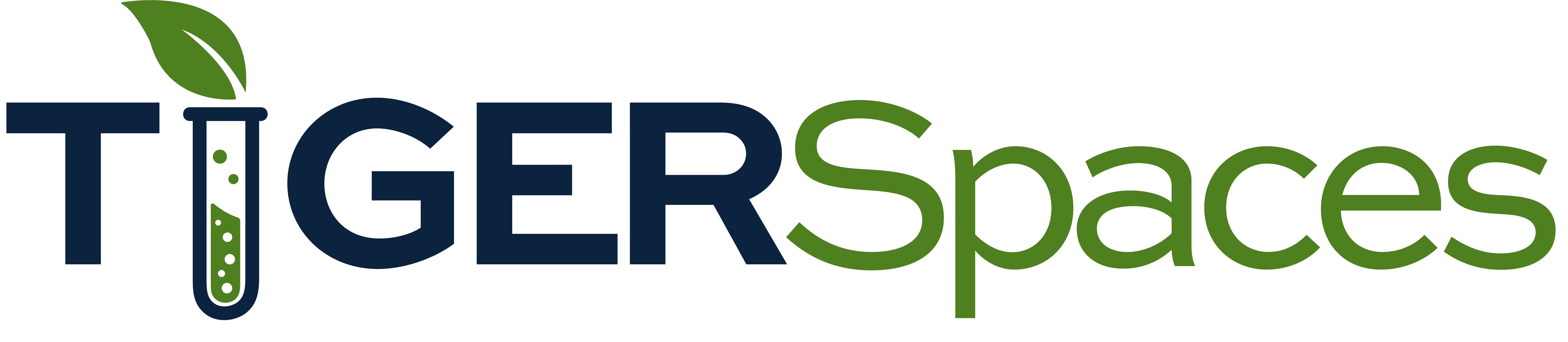 TIGERSpaces Labs program wordmark